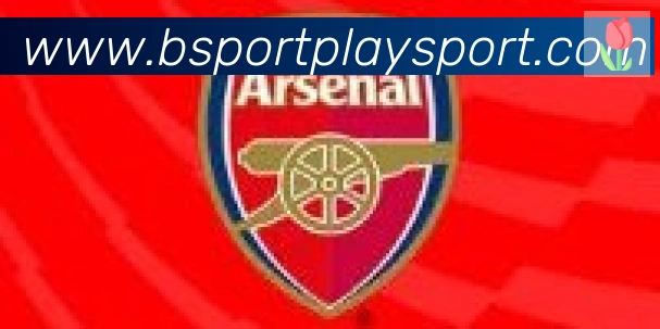 Bsports官网合作伙伴