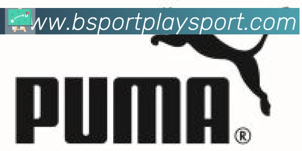 Bsports官网合作伙伴