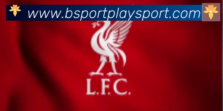 Bsports官网合作伙伴