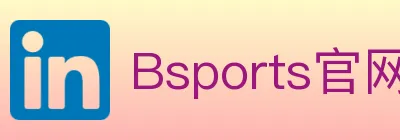Bsports官网 logo